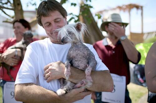 World's ugliest dog contest