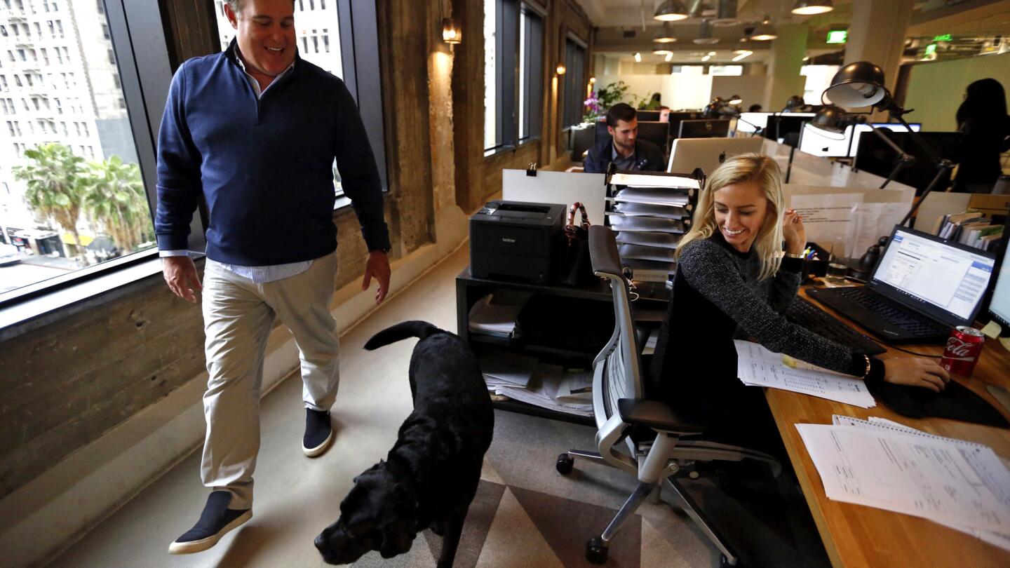 Dog friendly offices become more mainstream