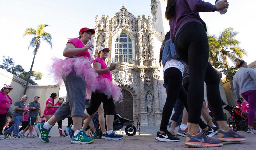 Supporters for Making Strides Against Breast Cancer came out to take part in the annual four-mile walk that started and ended in Balboa Park with a brief walk along the State Highway 163.