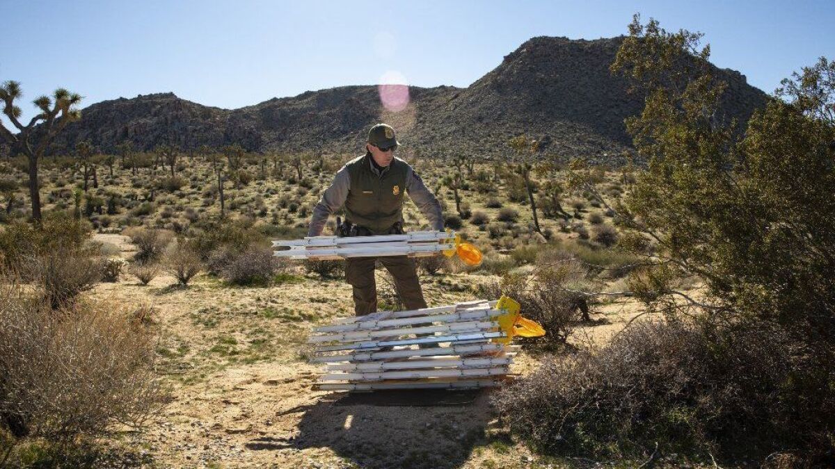 Park Ranger Rob Evans places temporary barriers off the side of the road near the entrance to Joshua Tree National Park on Dec. 29.