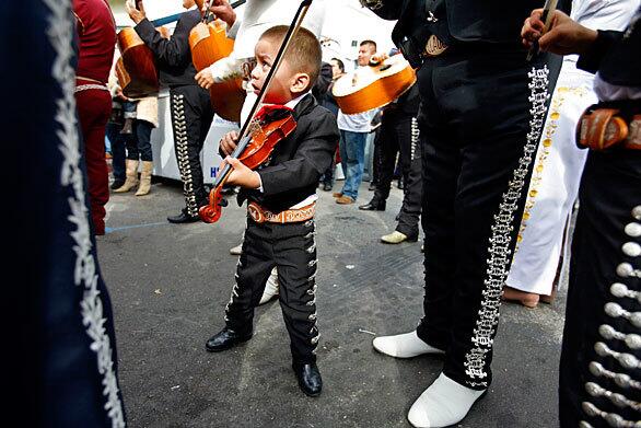 Mariachis honor St. Cecilia