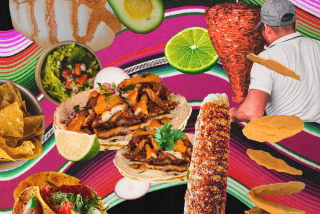 Images of a concha, avocado, lime, tortillas, tacos 