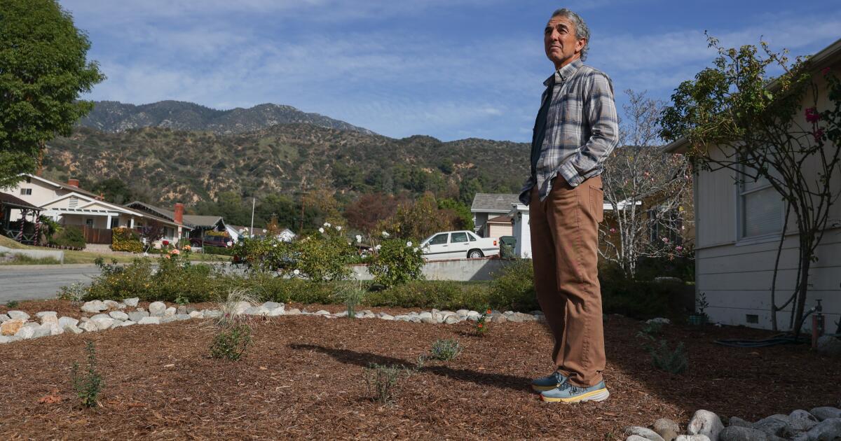 Uma lição muito importante sobre a substituição de grama DIY no SoCal Uma lição muito importante sobre a substituição de grama DIY no SoCal