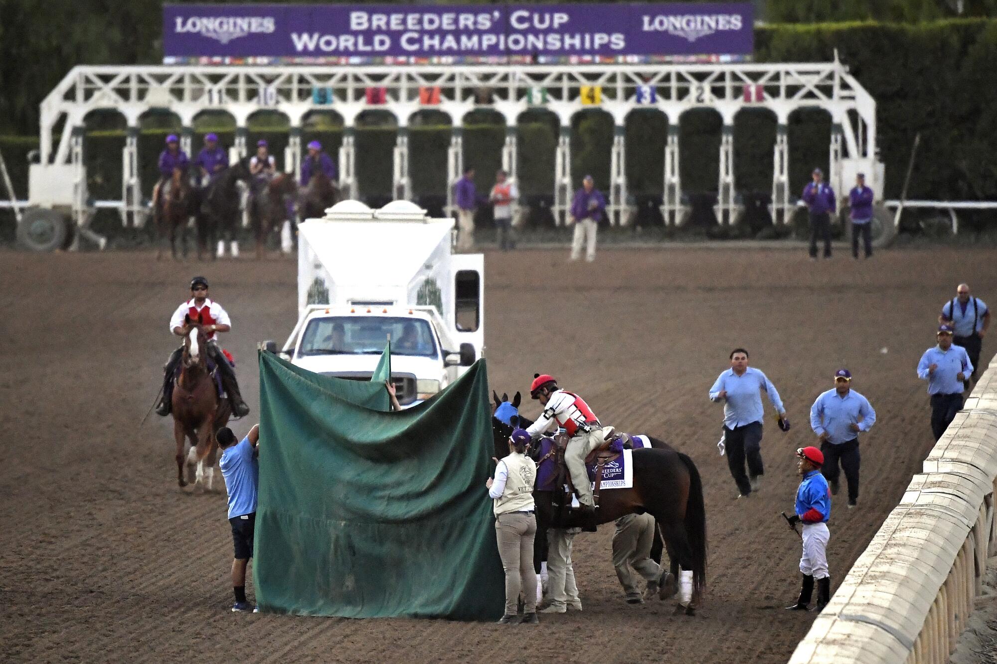 Track workers treat Mongolian Groom after the horse was injured during the Breeders' Cup at Santa Anita Park.