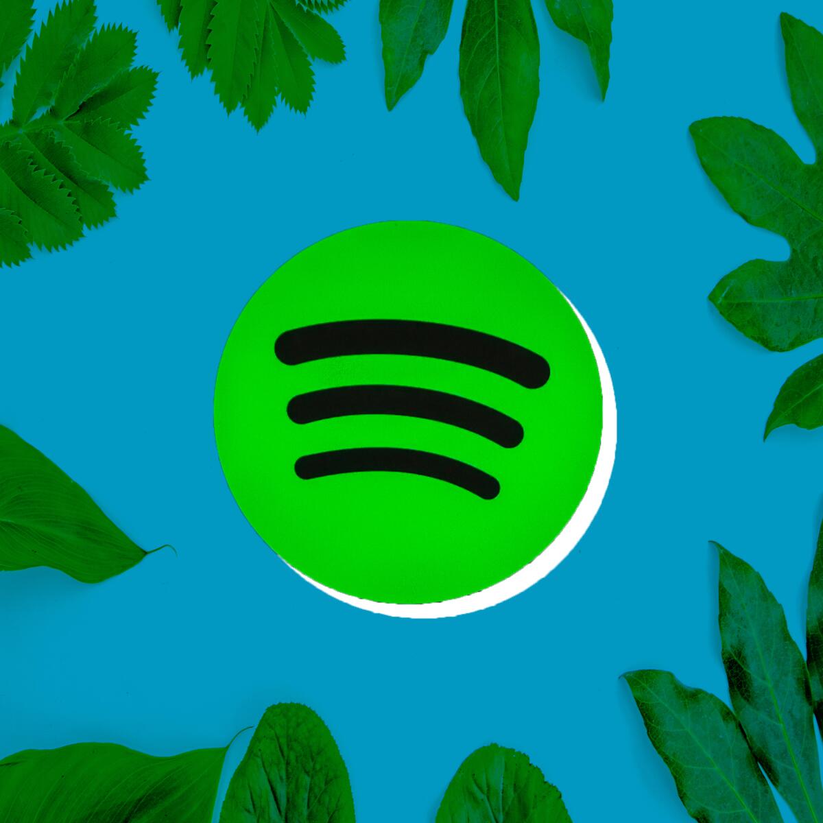 Spotify Nature Playlist