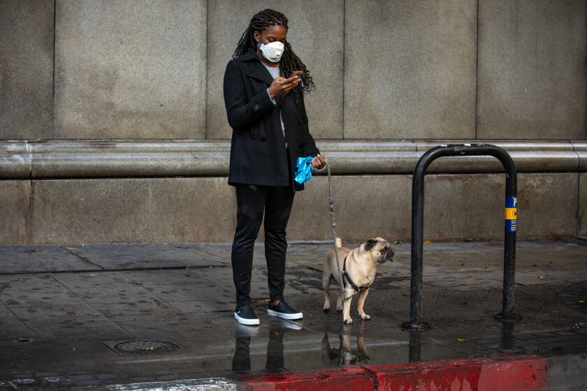 LOS ANGELES, CA --MARCH 23, 2020 - A woman wearing a mask stands with her dog, pausing during her walk, in downtown Los Angeles, CA, March 23, 2020, as the city is under a new mandate from California Gov. Gavin Newsom, to stay home, with only essential businesses allowed to stay open, as a preventative measure of the COVID-19 spread. (Jay L. Clendenin / Los Angeles Times)
