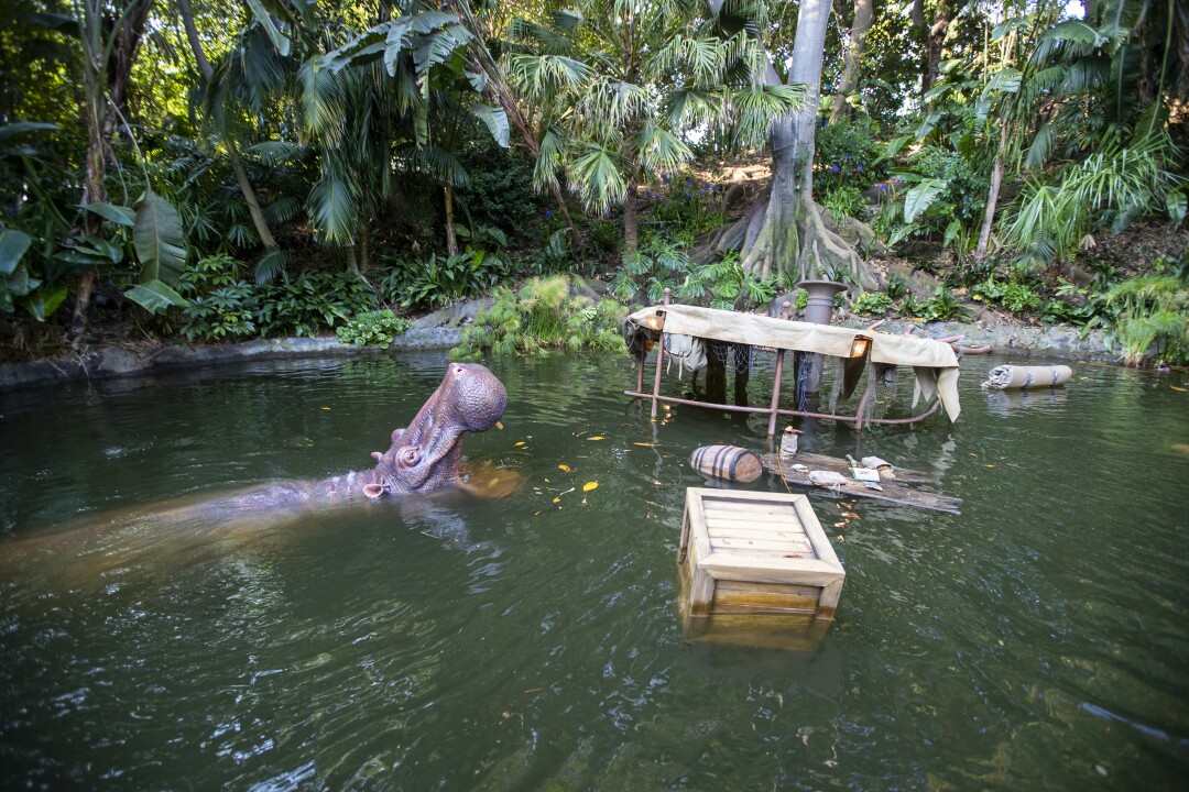 A view of floating wreckage from a boat among hippopotami during the Jungle Cruise ride
