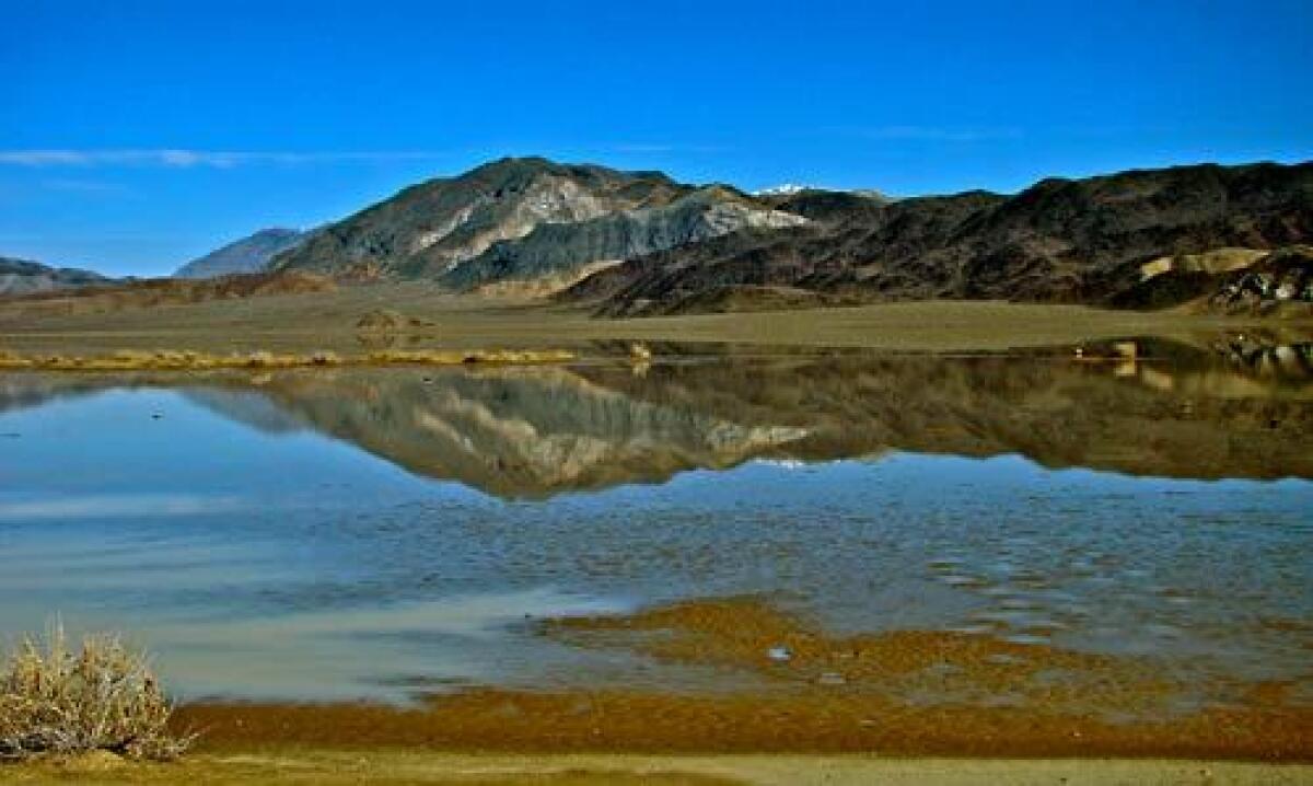 The Cottonwood Range is reflected in the rainwater collected in the normally dry lake bed of Racetrack Playa in Death Valley.
