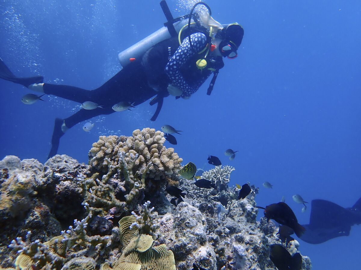 Ava Shearer scuba diving at Australia's Great Barrier Reef in 2020.