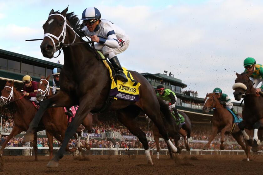 Javier Castellano rides Stopchargingmaria down the front strecth enroute to winning the Breeder's Cup Distaff at Keeneland Racecourse on Friday.