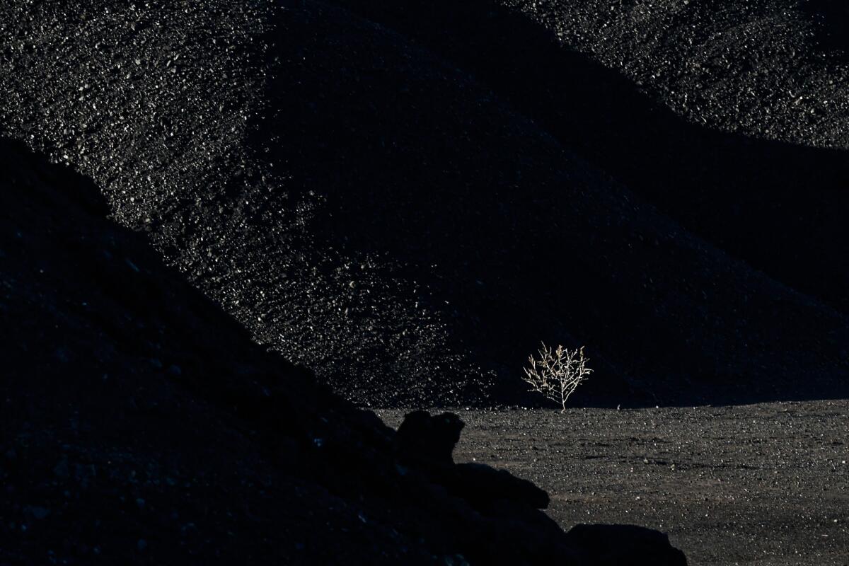 A lone tumbleweed blows through piles of coal at the Rosebud Mine outside Colstrip, a few miles from the power plant.