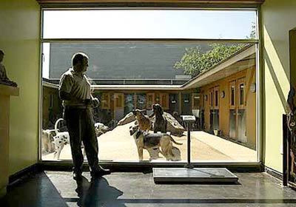 Patrick Guilfoyle, who owns Double Dog Dare Ya in Burbank, hired an architect to design a glass, steel and concrete compound where dogs and humans could coexist in an environment that looks more like a day spa than a kennel. He and his wife, Pippi, live in private quarters upstairs.