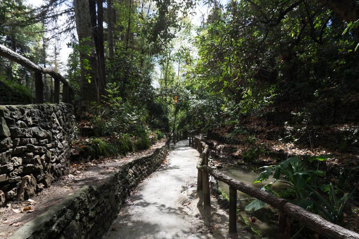Fern Dell, one of the least trafficked and most beautiful parts of Griffith Park, according to author Casey Schreiner.