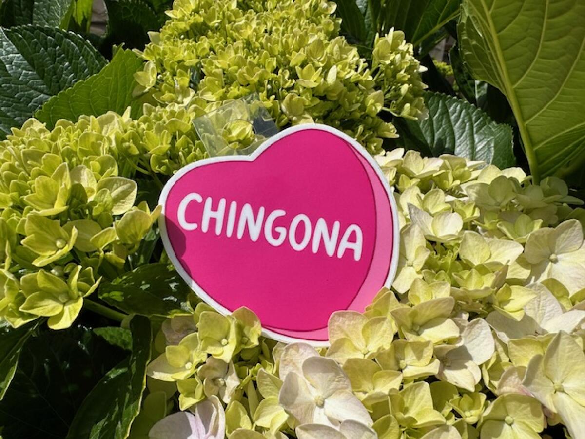 Mercancía con la palabra "chingona" se encuentra en pegatinas, camisetas y más.