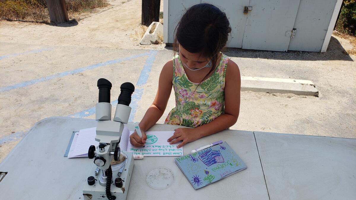 A student participates in the Summer Wetland Program Explorers Program.