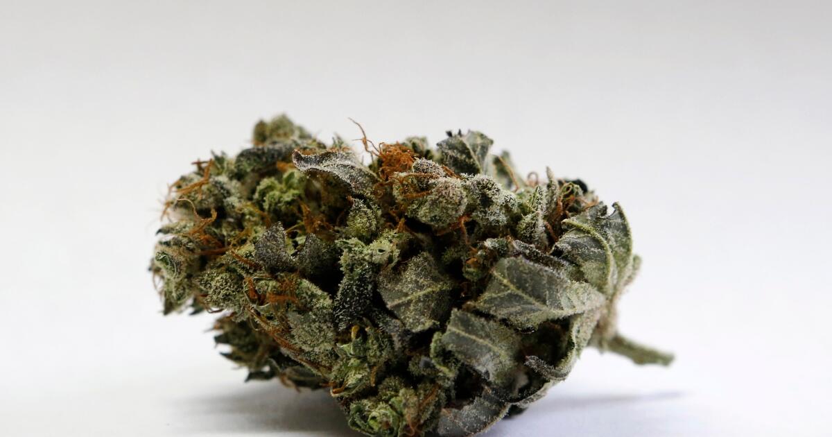 Vous cherchez à emporter de la marijuana médicale dans un avion ? Que veux-tu savoir