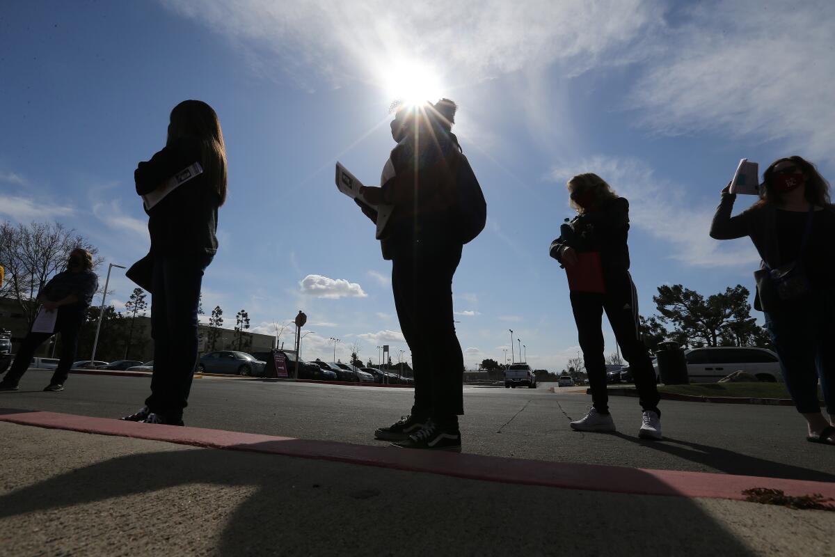 People in a queue are seen in silhouette under bright sunshine.