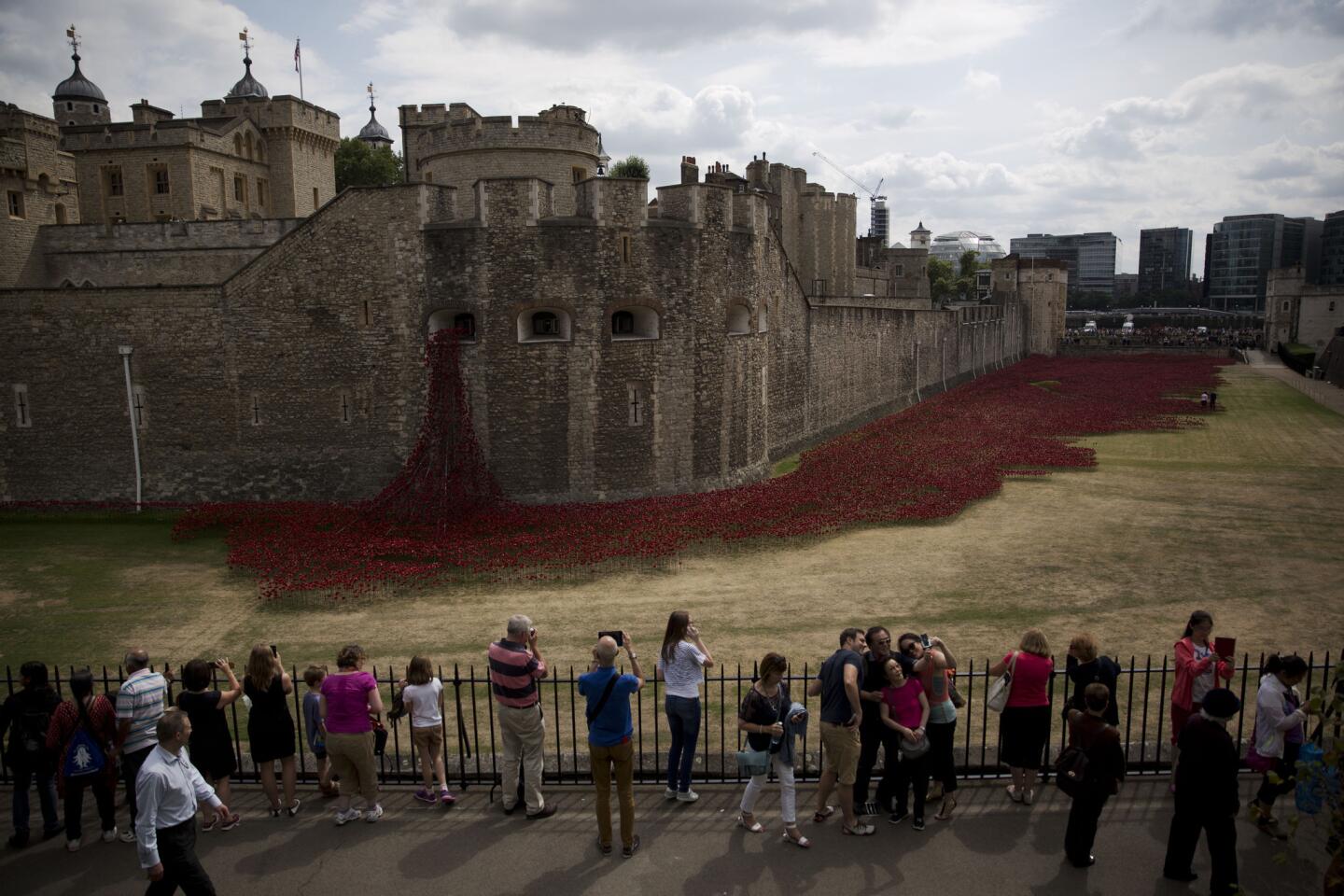 London's World War I poppy tribute