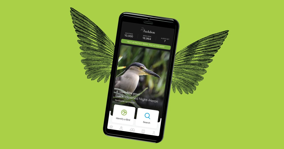 What bird is that? 7 apps that will answer your birding questions - Los  Angeles Times