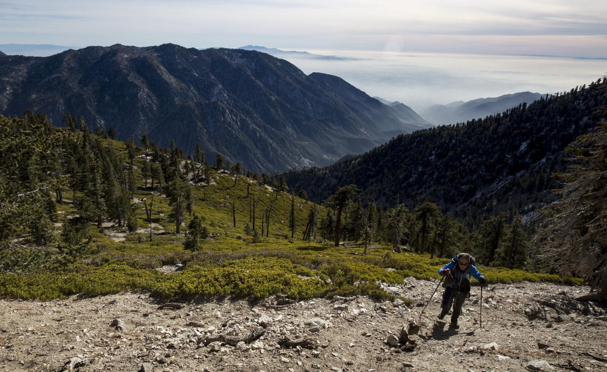 Sam Kim nears the summit of Mt. Baldy, a trek he has made more than 700 times.