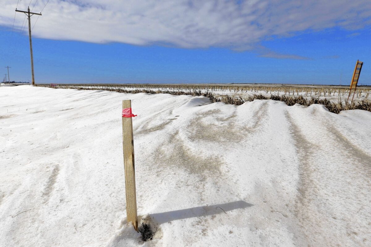 A stick marks the proposed route of the Keystone XL oil pipeline near Bradshaw, Neb. The Obama administration said Friday it would postpone any decision about the pipeline until after a state court decision that could affect its route.