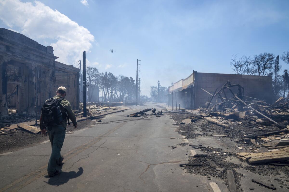 A man walks down a street with fire devastation on both sides 