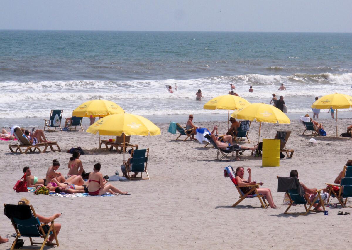 Spending time in the sun triggers addictive behaviors in mice, and possibly humans too. Here, beachgoers enjoy a sunny day on the beach in Atlantic City, N.J.