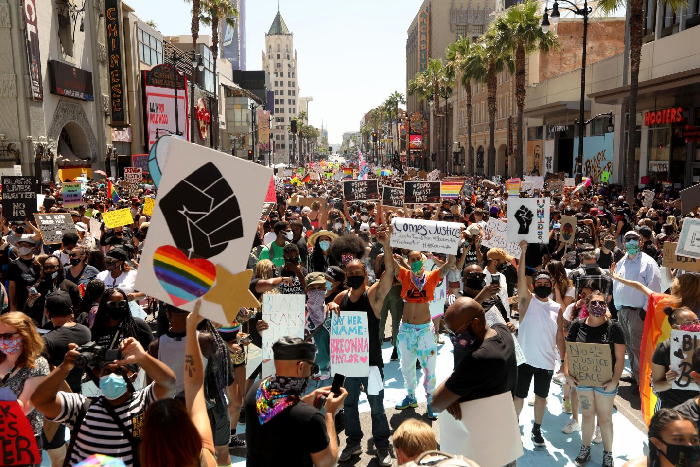 A sea of protesters holding up signs on Hollywood Boulevard in front of TCL Chinese Theatre