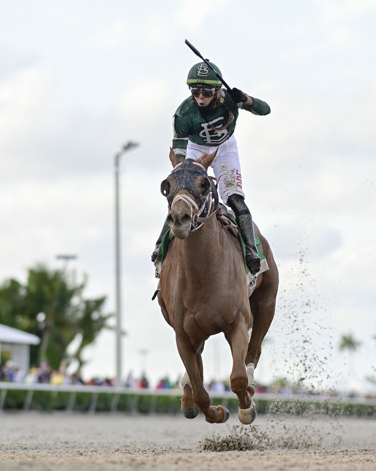     Irad Ortíz Jr. reacts while mounting Known Agenda. 