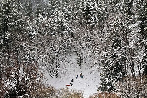 Visitors looking for a good spot for sledding climb up a hillside in Wrightwood on Wednesday. See full story