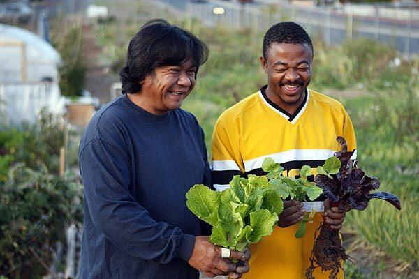 Bob Ou, left, 43, a refugee from Cambodia, and Bilali Muya, a Somalian refugee who doesn't know his age, share a laugh at the New Roots Community Farm in the City Heights neighborhood of San Diego. The two farmers have become leaders in the community, demonstrating how to bridge cultural differences and develop friendships.