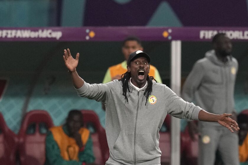 El seleccionador de Senegal, Aliou Cissé, da órdenes durante un partido del Grupo A del Mundial entre Ecuador y Senegal, en el estadio Jalifa Internacional, en Doha, Qatar, el 29 de noviembre de 2022. (AP Foto/Themba Hadebe)