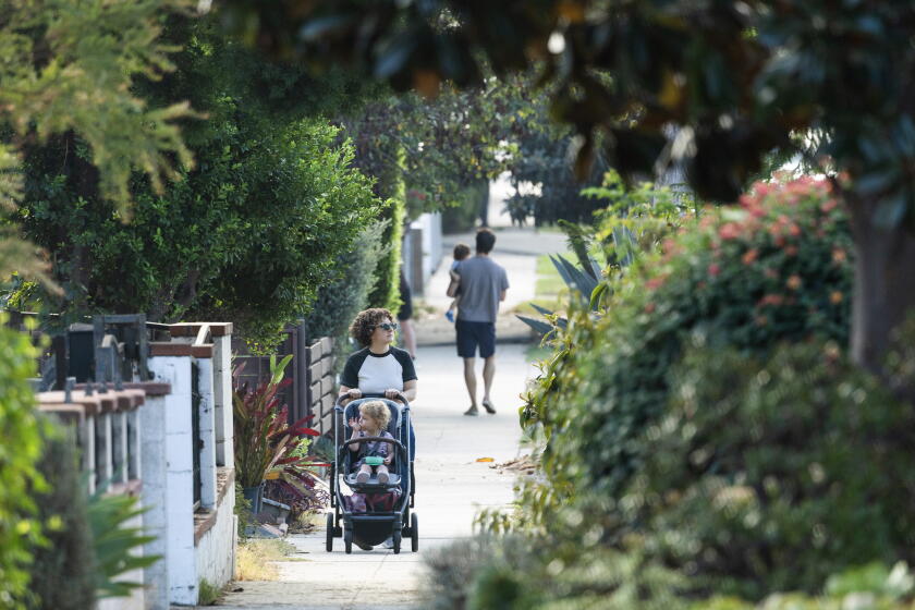 Poison 8 Bit 2 Toddlers Died From Oleander Poisoning, Coroner Says - Los Angeles Times