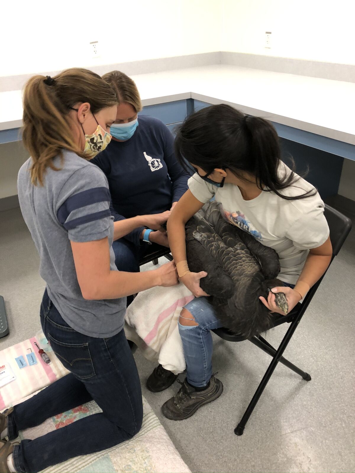 Leah Medley, left, Heather Springsteed and Carolina Granthon examine a condor in Boise.