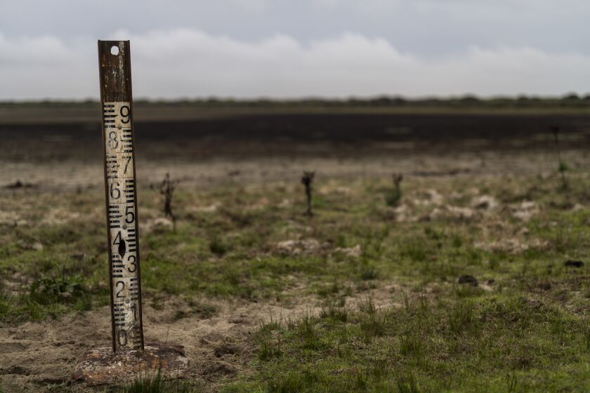 A water meter stands in a dry wetland in Doñana natural park, southwest Spain, Wednesday, Oct. 19, 2022. Farming and tourism had already drained the aquifer feeding Doñana. Then climate change hit Spain with record-high temperatures and a prolonged drought this year. (AP Photo/Bernat Armangue)
