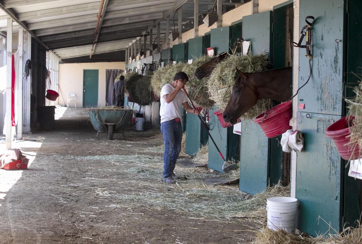 Groom Raul Aguilar rakes in front of the stables of six horses on the backstretch at the Del Mar race track in 2019.