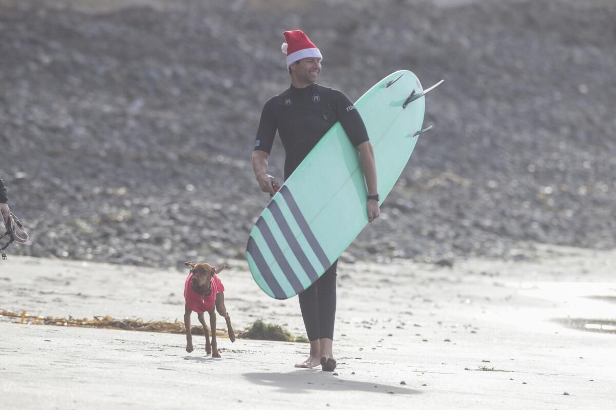 La mañana de Navidad fue aprovechada por Mike Heffner, quien camina con su perro Chatham para formar parte de una tradición entre los surfistas en Pacific Beach, quienes acuden a la playa a con gorros navideños.