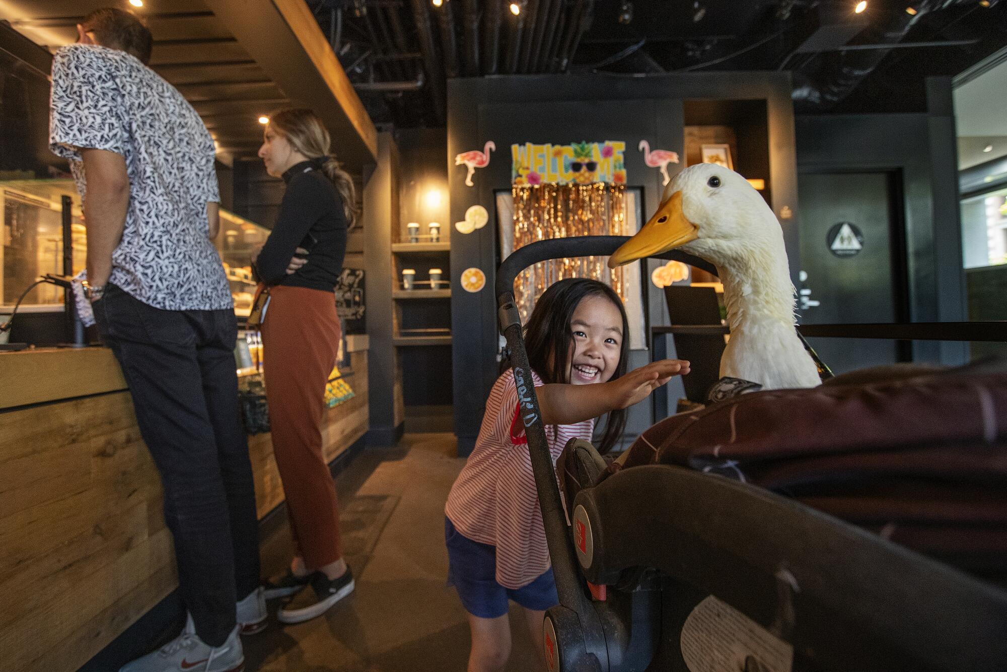 Ellie Kim, 4, gets a close-up look at Cardi D in downtown Los Angeles. 