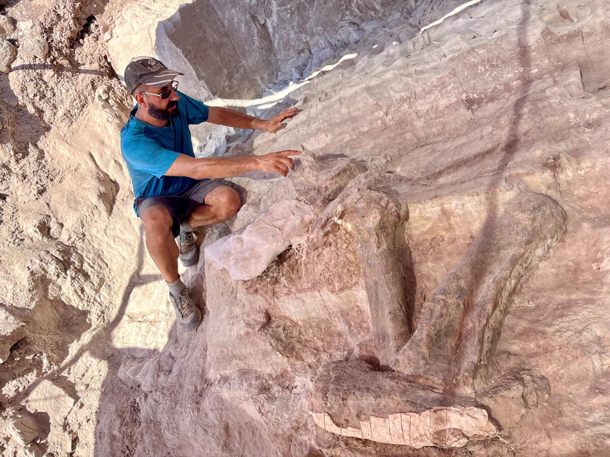 Paleontologist Fernando Escaso describes stegosaurus fossils found near Bitter Creek, Utah