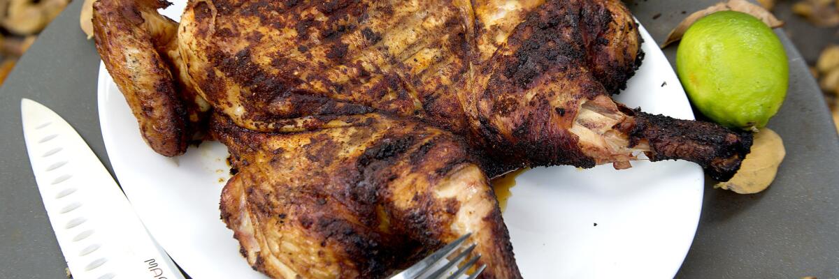 Grilled chicken recipes