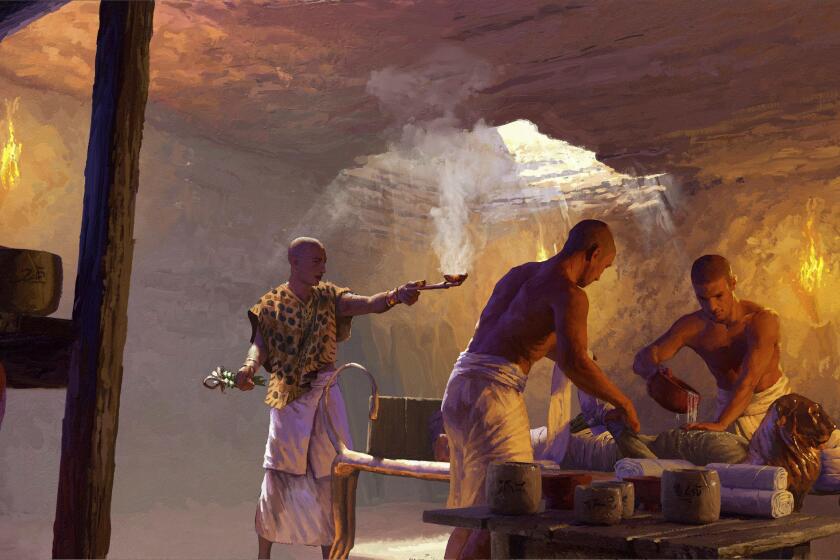 This illustration provided by Nikola Nevenov in January 2023 depicts a priest during an embalming process in an underground chamber in Saqqara, Egypt. For thousands of years, ancient Egyptians mummified their dead to help them reach eternal life. According to studypublished Wednesday, Feb. 1, 2023, in the journal Nature, researchers have used chemistry and an unusual collection of jars to figure out how they did it. (Nikola Nevenov via AP)
