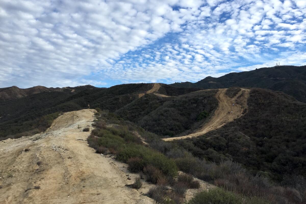 The Placerita Canyon trail stretches out under a cloudy sky.