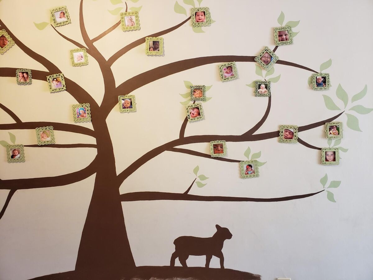 A tree of life painted on the entry wall at Lamb of God Maternity home