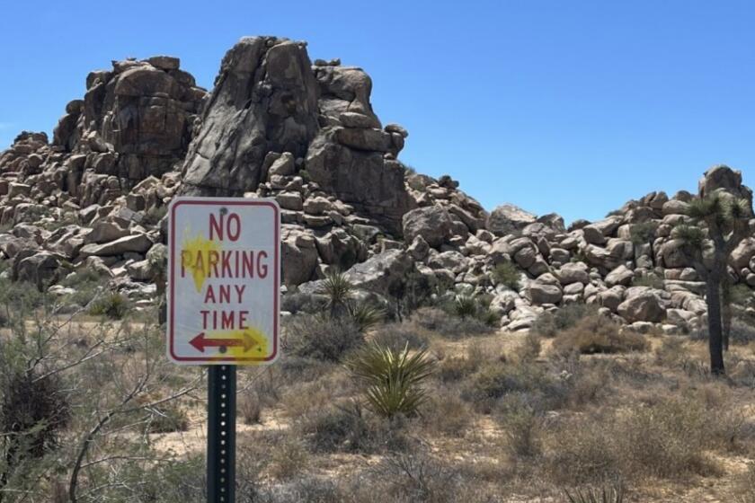 Joshua Tree-Three visitors were cited for firing paintballs at signs, bathrooms and dumpsters throughout Joshua Tree National Park on Aug. 4. Law enforcement rangers issued each individual, who were visiting from Germany, a federal violation notice for vandalizing, defacing, or destroying property. (National Park California)