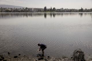 A man picks up a dead fish in Lake Merritt in Oakland, Calif. on Monday, Aug. 29, 2022. Large numbers of dead fish and other sea life have been sighted all around the lake and other areas in the San Francisco Bay, prompting environmental groups to suggest that people and their pets stay out fo the water to avoid a hazardous algae bloom known as red tide. (Brontë Wittpenn