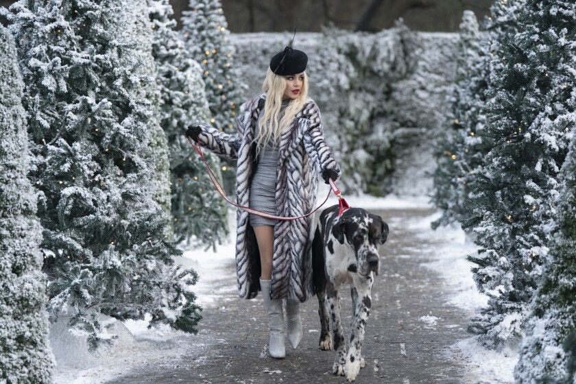 A woman walking a dog along a snowy, tree-lined path