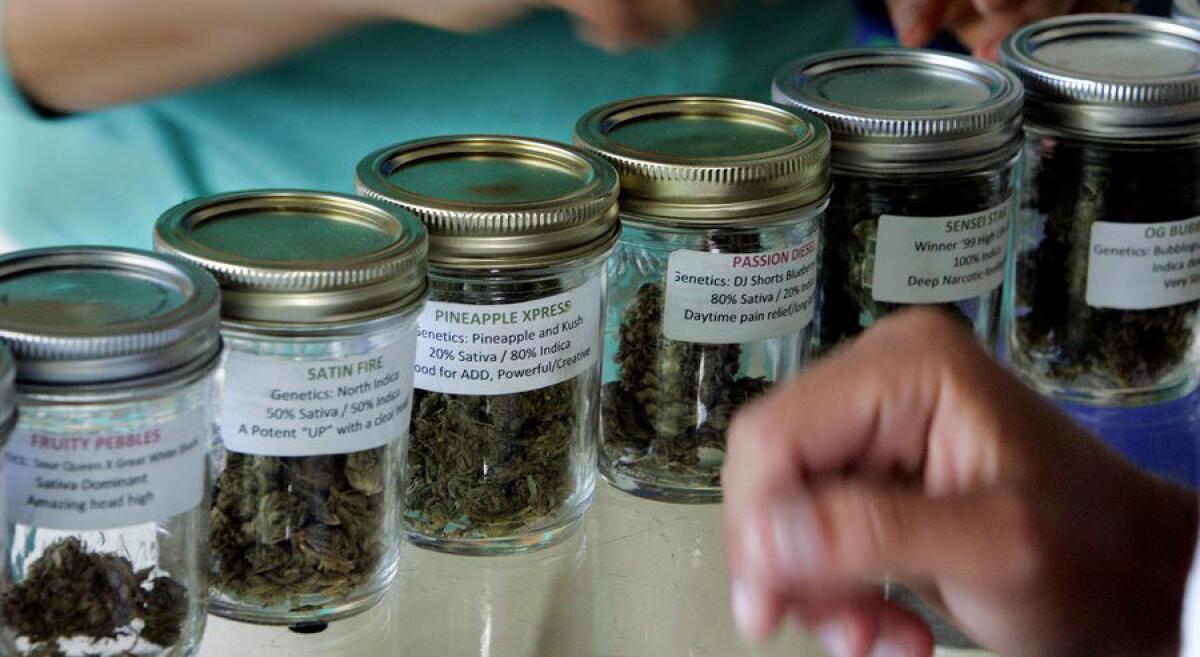 Some of the types of marijuana available at a marijuana cooperative in San Diego.