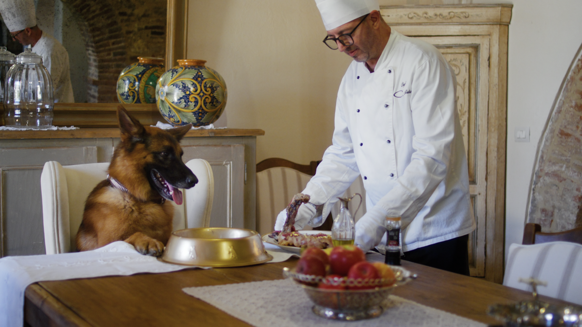 A dog seated at a dining table is served by a chef.