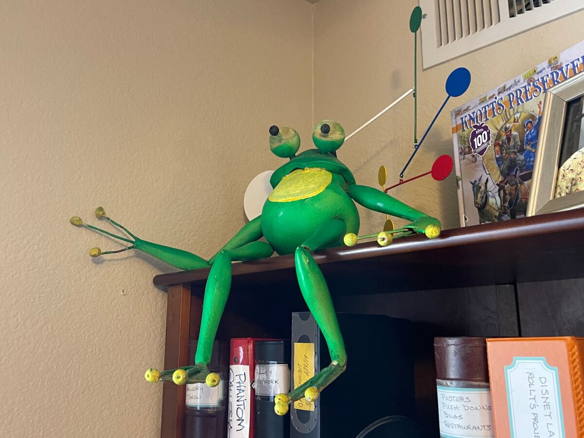 A frog with exaggeratedly long limbs sits on a bookshelf.