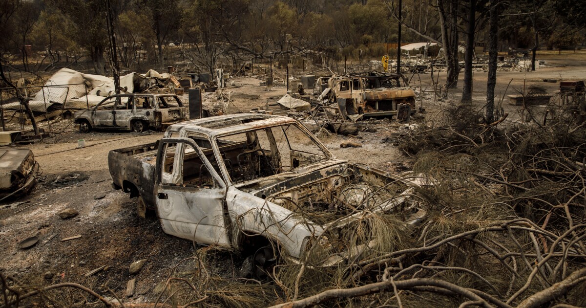 Les incendies de forêt causés par les humains sont plus dangereux, selon des études